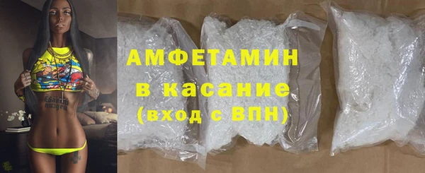 индика Богданович