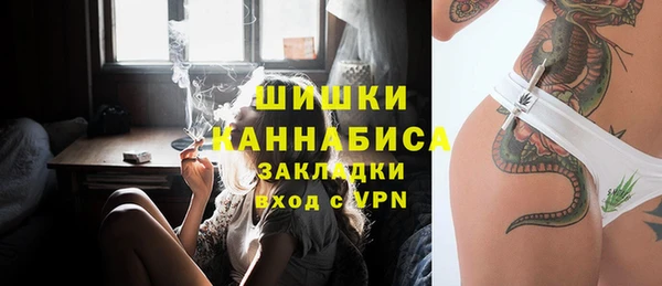 индика Богданович