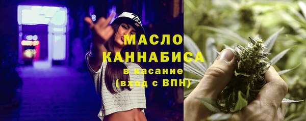 индика Богданович