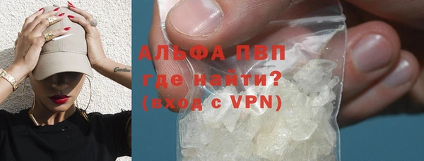 индика Богданович