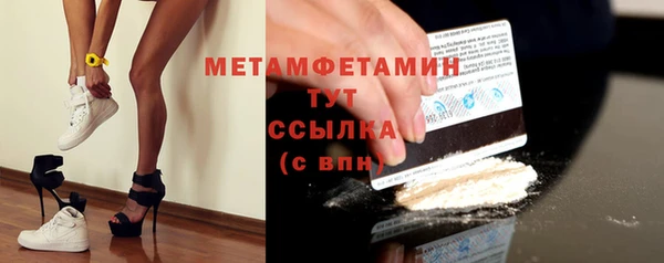 индика Богданович