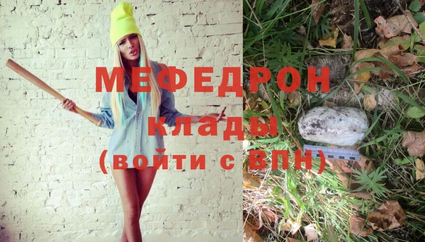 индика Богданович