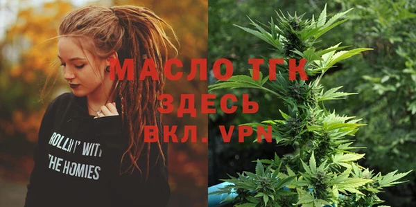 mdpv Богородицк