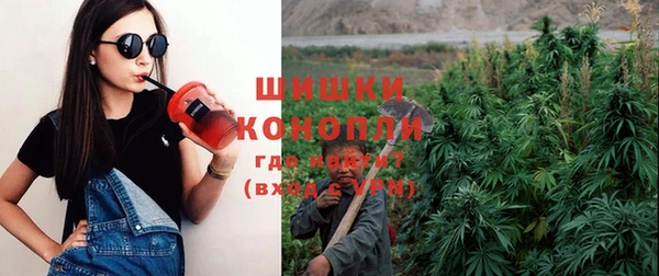 индика Богданович