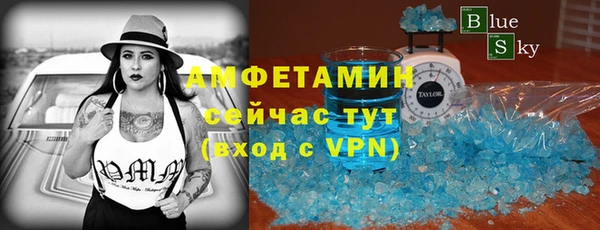 индика Богданович