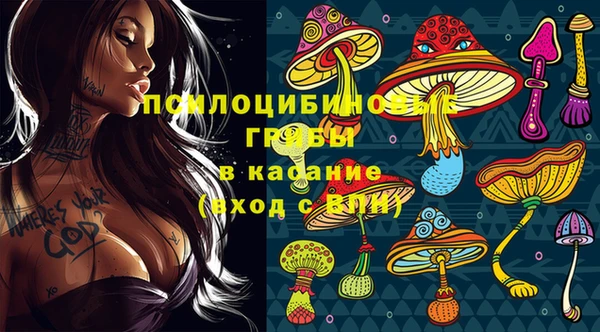 стаф Богородск
