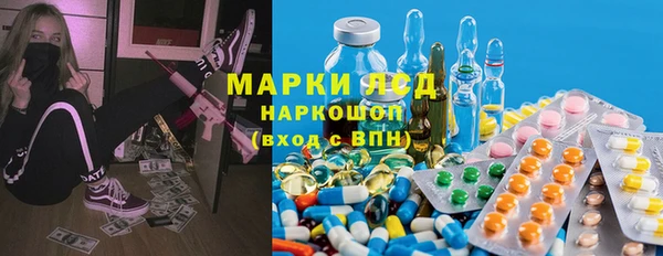 стаф Богородск