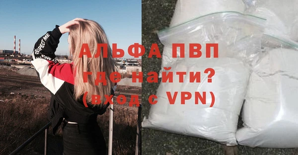 индика Богданович