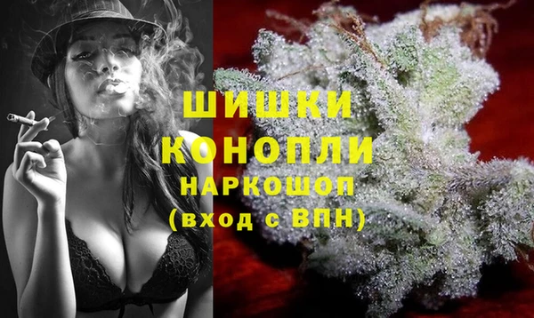 стаф Богородск