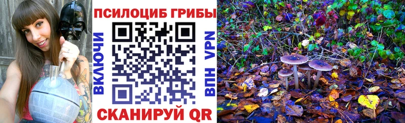 Галлюциногенные грибы Cubensis  OMG как войти  Брюховецкая 